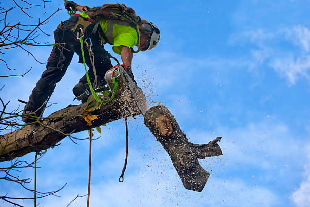  , NH Tree Care Pros